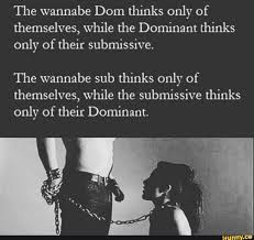 The wannabe Dom thinks only of themselves, while the Dominant thinks only  of their submissive. The wannabe sub thinks only of themselves, while the  submissive thinks only of their Dominant. - iFunny
