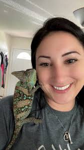 Bearded dragon eats hornworms from hands