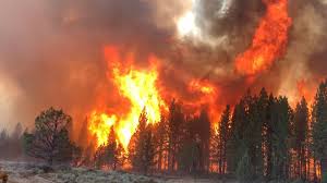 Jun 17, 2021 · the number of new wildfires in the u.s. The Covid Wildfire Link The Oregon Bootleg Fire Bodes Ill For Our Post Pandemic Wild Spaces