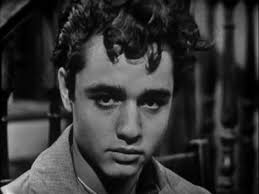 Dressing Sal Mineo by Susan Lilley