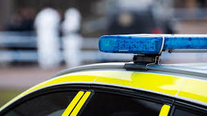 Det är minuterna efter midnatt när polis och ambulans rullar in i området gärdet i hagfors, ett område i den lilla värmländska stålstaden som. Vetenskap Senaste Nyheterna I Avsnittet Vetenskap Las Vidare Timepost Sweden