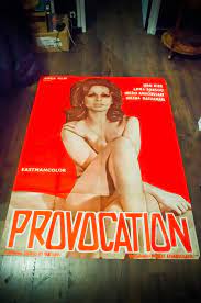 PROVOCATION Adult X Rated 4x6 ft Vintage French Grande Movie Poster  Original 197 | eBay