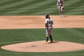 Thankful for this life 🐘