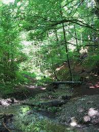 Bernried, ilkahöhe, waldschmidtschlucht, murmelte er. Waldschmidschlucht Tutzing Mapio Net