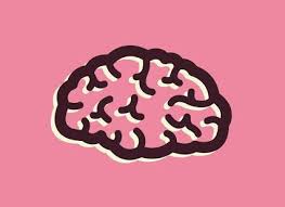 Google Brain Illustration Human Body Systems Brain Games