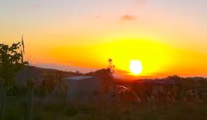 National Trust Wild Tribe conquers 10 Tors