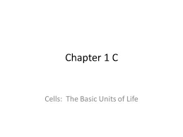 Chapter 1 C Cells The Basic Units Of Life Section 1 The Diversity Of Cells Cell The Smallest Unit That Can Perform All The Processes N The Unit Basic Life