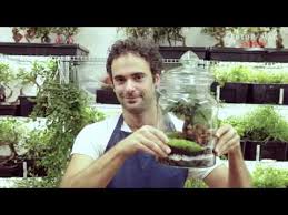 Das kann der gärtchen im glas nicht zu viel gießen. Makertutorial 14 Einen Indoor Garten Im Glas Anlegen Youtube