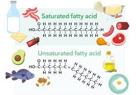 A User Guide To Saturated Fat – Diet Doctor