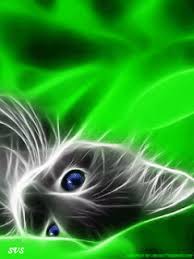 Https Encrypted Tbn0 Gstatic Com Images Q Tbn And9gcq5phsjtgvnbnpnejx0q2ttwtkkuw3flknruw Usqp Cau
