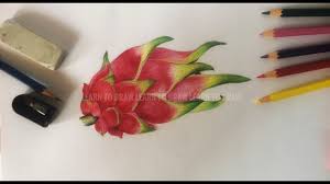 How To Draw Dragon Fruit Pencil Sketch Drawing For Beginner Á Áá Áá Áá Á Á Áá Á Á Youtube Egrow 50 pcs pack pitaya seeds red white dragon fruit tree seed for. how to draw dragon fruit pencil sketch drawing for beginner á áá áá áá á á áá á á
