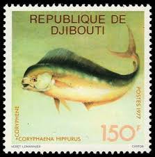 Image result for Commicarpus grandiflorus