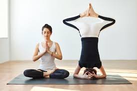 This article explores yoga poses for two people, benefits of partner yoga, and both easy and hard poses you can try! 5 085 Partner Yoga Stock Photos Images Download Partner Yoga Pictures On Depositphotos
