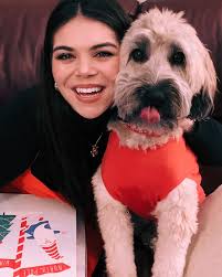 Pet dog dies suddenly at home