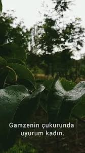 Erhan Genel (erhangenel3)