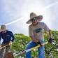 Wednesday Workdays at Wakamatsu Farm