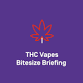 THC Vapes Bitesize Briefing - Oldham event in Oldham