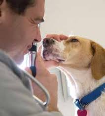 ENGAGEMENT + SERVICE = OUT REACH