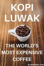 Kopi Luwak The World S Most Expensive Coffee Expensive Coffee Speciality Coffee Shop Kopi