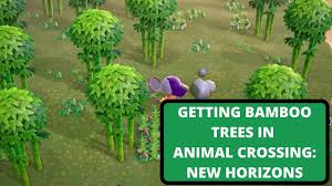 Where to get bamboo in animal crossing new horizons. How To Get Bamboo Trees Animal Crossing New Horizons
