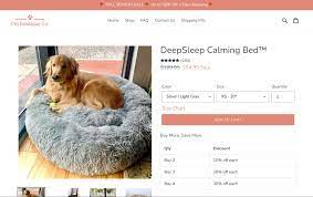 How To Start A Pet Business In 2022 (Top 11 Ideas)