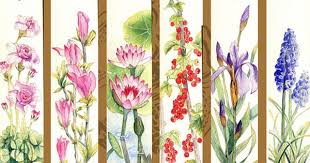 书浅花灰 感谢喜欢我的小伙伴们 鱼贤 aquarel