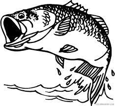 Select from 35870 printable crafts of cartoons, nature, animals, bible and many more. Bass Fish Coloring Pages Bass Fish Clip Artbass Fish Printable Coloring4free Coloring4free Com