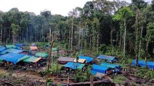 Suppliers' halal certification for local chicken/beef are from jakim/jain whilst imported. Harga Beras Di Korowai Sangat Tinggi 10 Kg Rp 2 Juta Mi Instan Sekardus Rp 1 Juta Surya