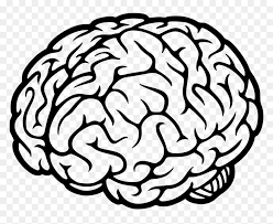 Brain Icon Transparent Background Hd Png Download Vhv Large collections of hd transparent brain png images for free download. brain icon transparent background hd