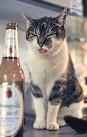 We did not find results for: Les Femmes Regardent Les Gars Se Masturber Rencontre Celibataire Catholique Gratuit