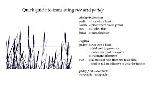 Padi sawah ditanam di tanah jenis aluvium. The History Of The Rice Paddy Or How A Nonsensical Term Makes Sense Bali Soul Journals