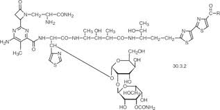 Image result for Bleomycin