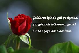 Aitlik Ile Ilgili Sozler Super Guzel Sozler