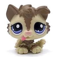 Amazon.com: LPSCB Custom-Made Baby Pet Shop Toy Collie Puppy Mini Bobble  Head Dog Animal Figure 1 Inch : Toys & Games