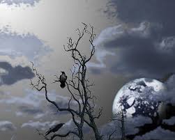 Image result for phil rushton comics