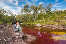 Caño cristales is a colombian river located in the serrania de la macarena province of meta, and is a tributary of the guayabero river. Cano Cristales Colombia S Rainbow River
