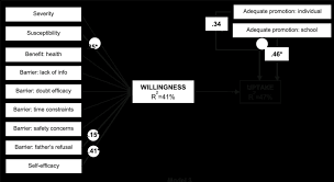 Health Belief Model To Predict Hpv Vaccine Uptake Fully Mediated By Download Scientific Diagram