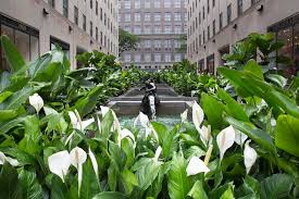 There are 2 office space listings at 39 west 19th street. New York City Wants Locals To Get Out And Enjoy Free Public Art Programs With A New Digital Resource Artfixdaily News Feed