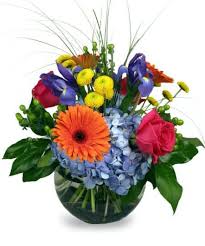We did not find results for: Mcnamara Florist Same Day Indianapolis Flower Delivery