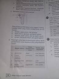 Lks ipa kelas 5 semester 1. Tolong Dong Yang Nomer 5 Sama 6 Lks Ipa Kelas 8 Semester 2 Brainly Co Id