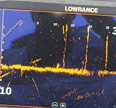 Bussey Brake Lunkers