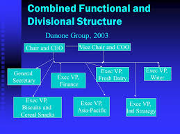 Organizational Structure Chapter 12 Lecture 1 Every