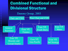 organizational structure chapter 12 lecture 1 every