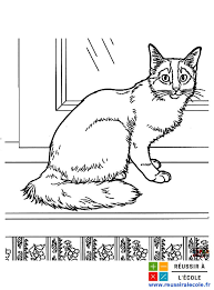 Pour dessiner un chat de bande dessinée, tracez un ovale pour le corps et un cercle pour la tête avec une croix au centre qui servira de repère pour le visage. Coloriage Chat Gratuit 20 Images A Imprimer Et A Colorier