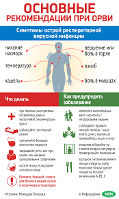 Письменный или устный благоприятный отзыв, совет. Osnovnye Rekomendacii Pri Orvi Novosti Belarusi Belta