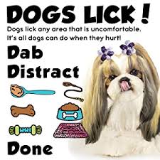 # boo, boo, boo, boo, boo, boo! Amazon Com The Blissful Dog Shih Tzu Boo Boo Butter 16 Oz Pet Supplies