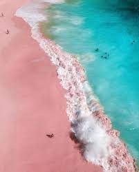 Pink Beach Komodo National Park Flores Island Indonesia The Komodo National Park Cruises Adventures By Hello Flores Wil Island Tour Komodo Island Beach