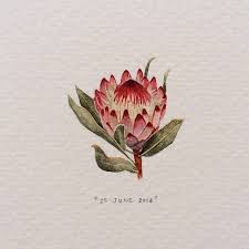 Paintings For Ants Day 176 Robijn Proteas Flower Between March And Protea Art Miniature Painting Flower Art