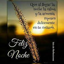 Feliz Noche Buenas Noches Mejores Frases De Buenas Noches Fotos Buenas Noches