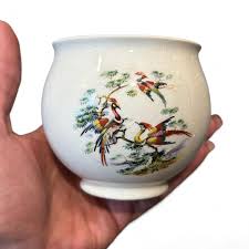 Vintage Crown Devon Bird-themed Flower Pot English Fine Bone China,